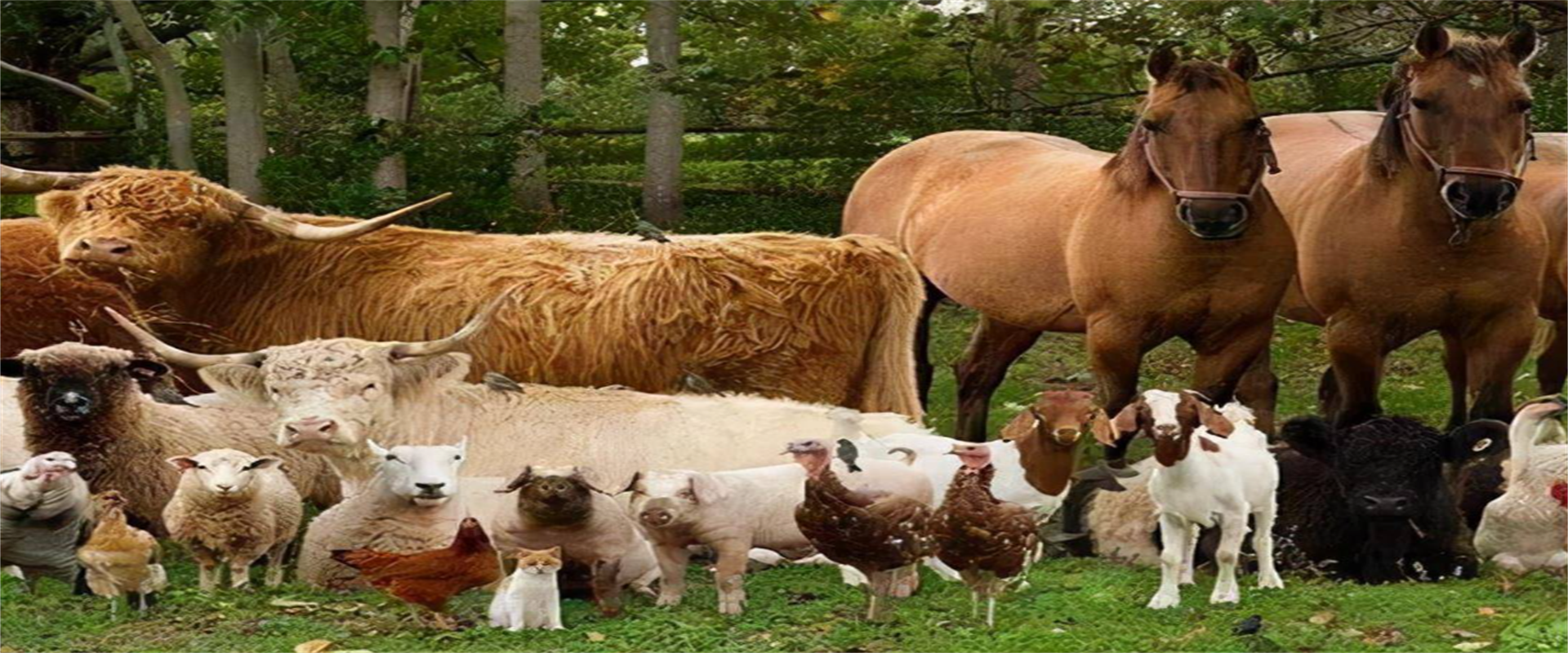 Qualität Lebensmittelzutaten usine