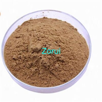 Good price Ginkgo Biloba Extract (GBE) with 24% Ginkgo Biloba Flavonoids and 6% Terpene Lactones for Cognitive Support online