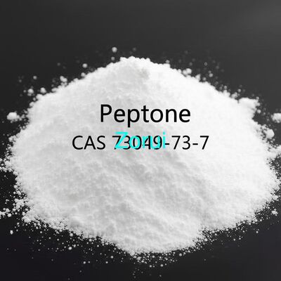 Bom preço Peptona Proteína Hidrolizado CAS 73049-73-7 Fonte de nutrientes para cultura Componente Médio em Microbiologia on-line